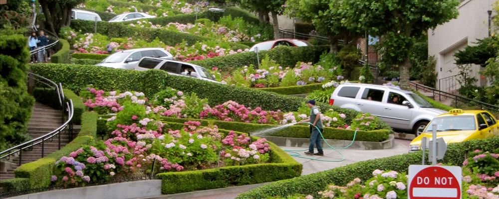 Lombard Street #2